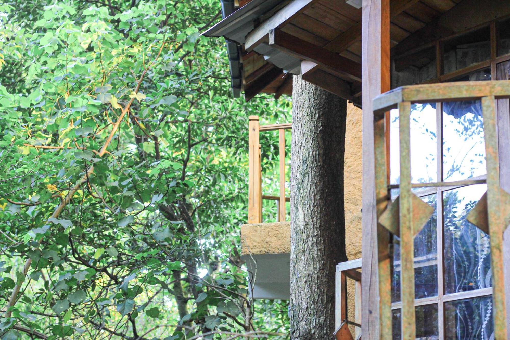 Maison d'hôtes Seasons Four Eco Friendly Treehouse à Matara Extérieur photo