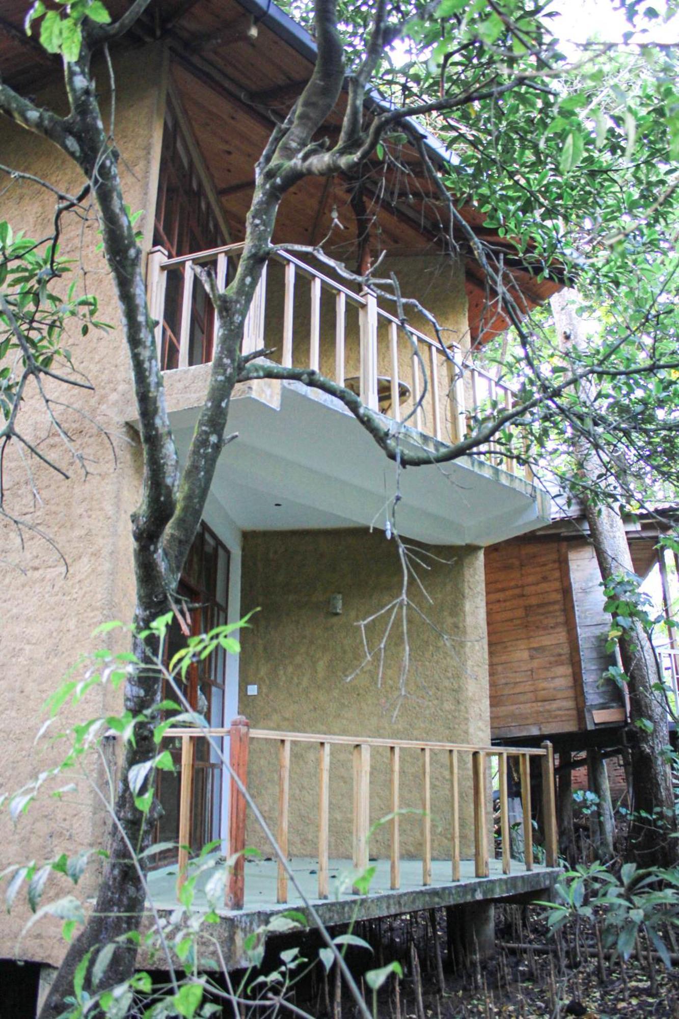 Maison d'hôtes Seasons Four Eco Friendly Treehouse à Matara Extérieur photo