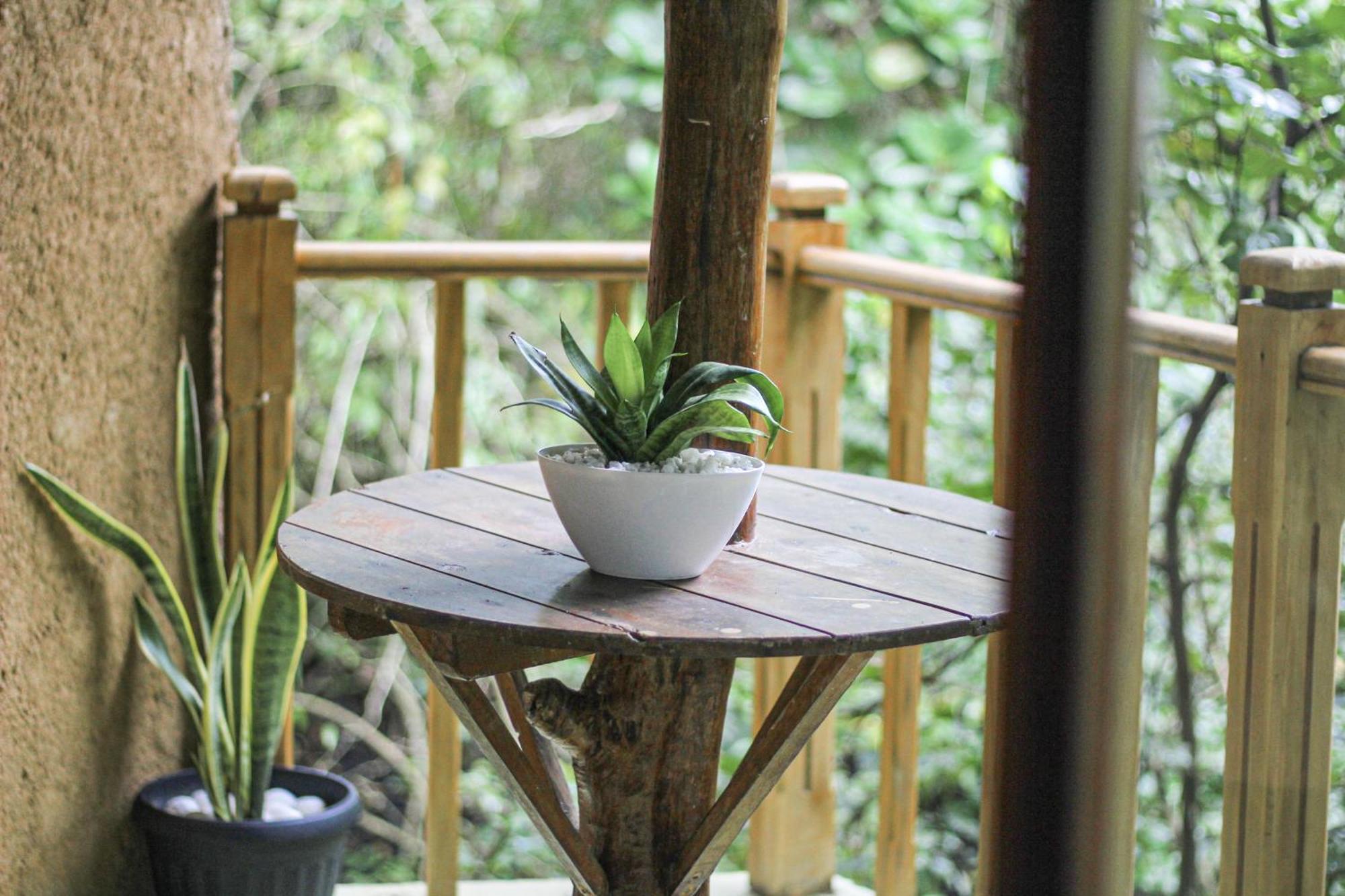 Maison d'hôtes Seasons Four Eco Friendly Treehouse à Matara Extérieur photo