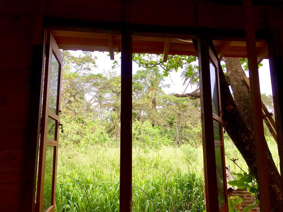 Maison d'hôtes Seasons Four Eco Friendly Treehouse à Matara Extérieur photo